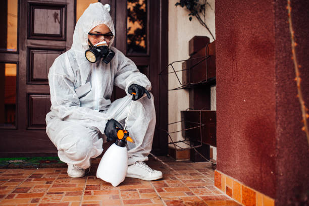 Reliable Bed Bug Control contractor in South Plainfield, NJ by Nex Pest Control