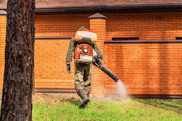 Trusted Mosquito Control service in South Plainfield, NJ - Nex Pest Control
